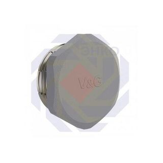 Заглушка резьбовая латунная V&G VALOGIN НР 2