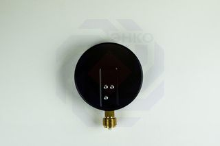 Манометр радиальный WATTS MDR 100/16 (F+R250) 0-16 бар 100 мм ½